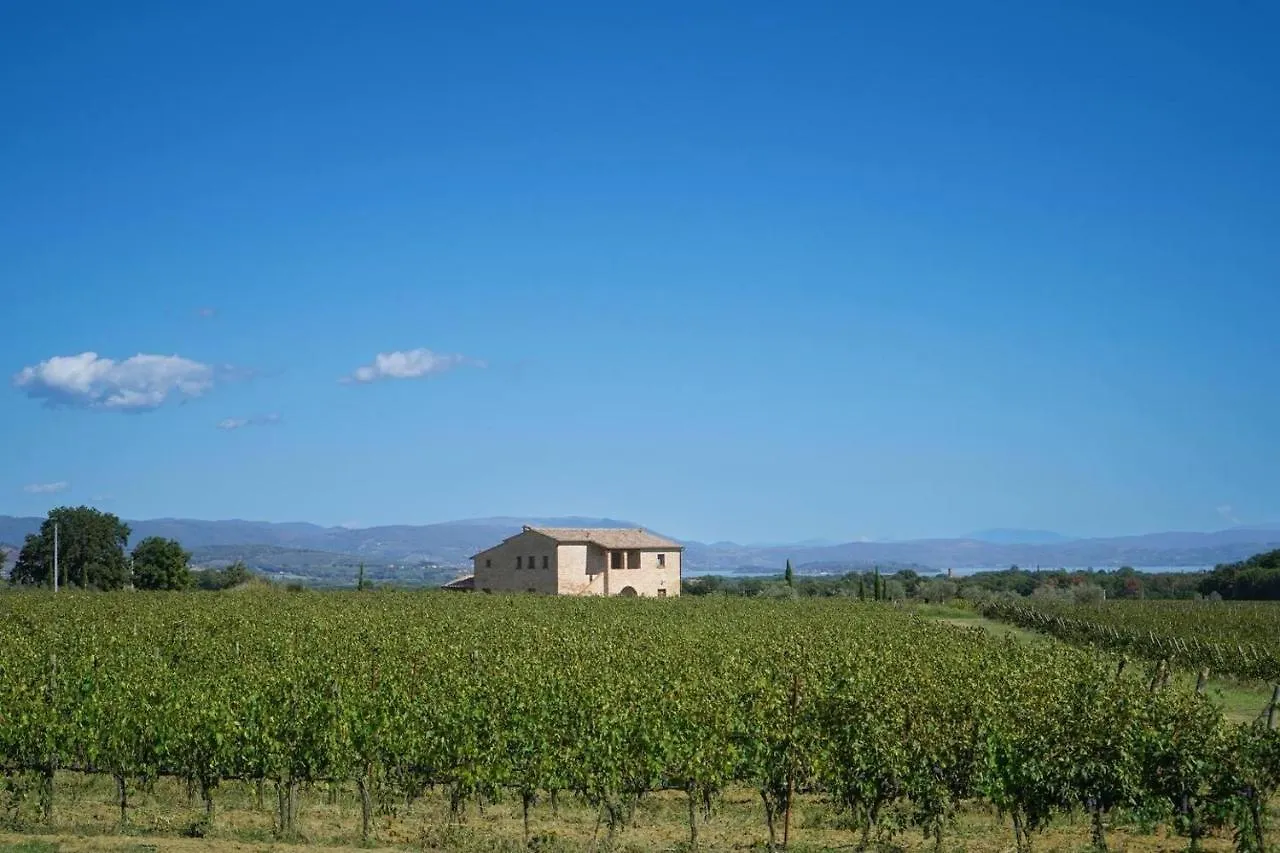 Charming 10 Pax Villa In Cortona With Private Pool