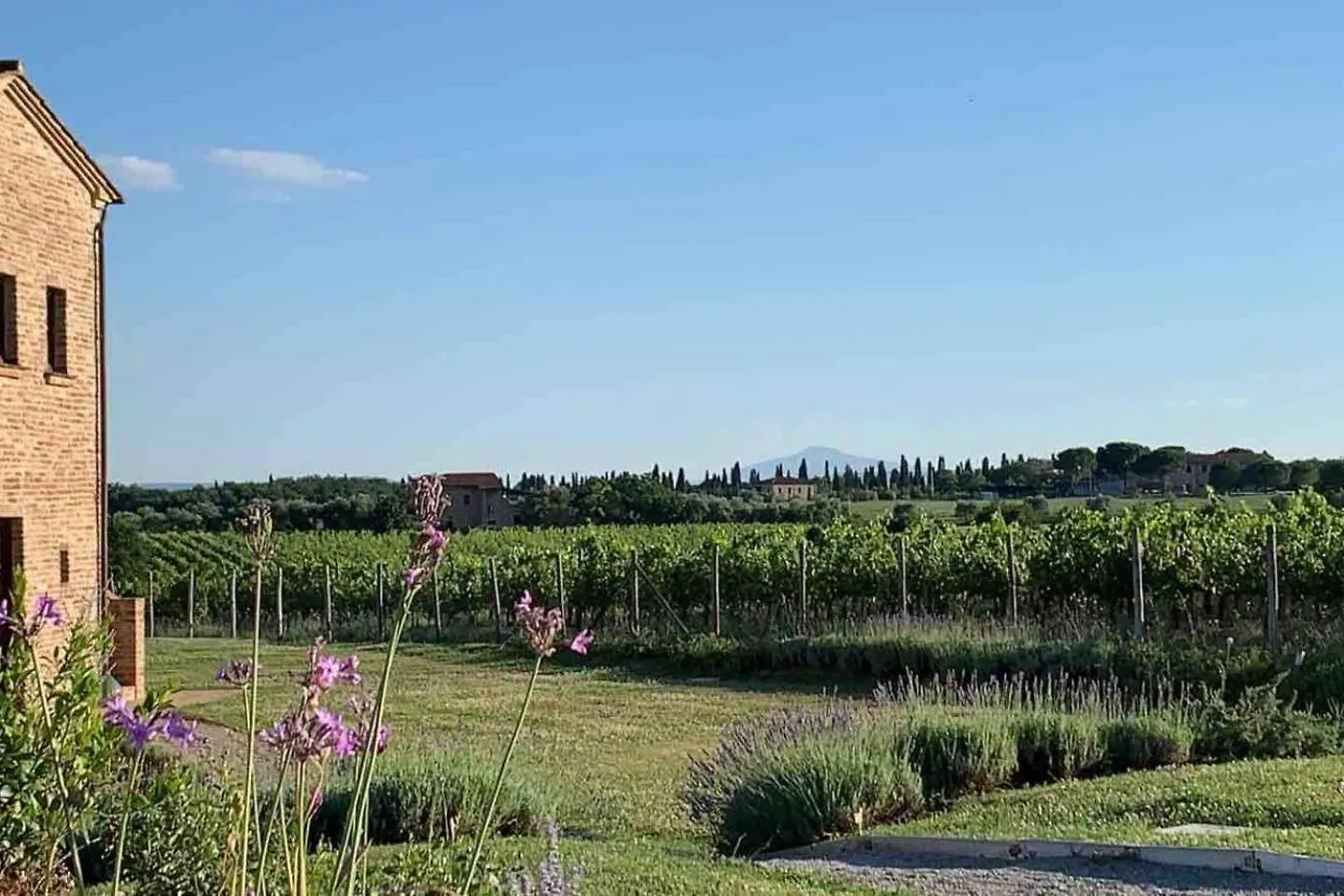 Charming 10 Pax Villa In Cortona With Private Pool